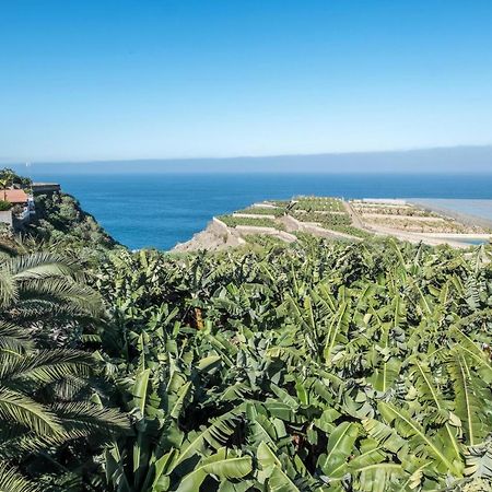 Finca Alejandrina La Guancha Ngoại thất bức ảnh