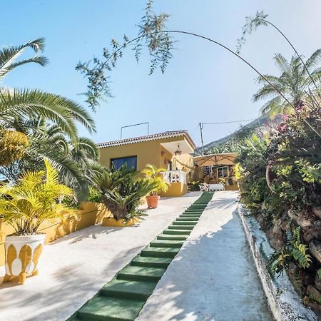 Finca Alejandrina La Guancha Ngoại thất bức ảnh