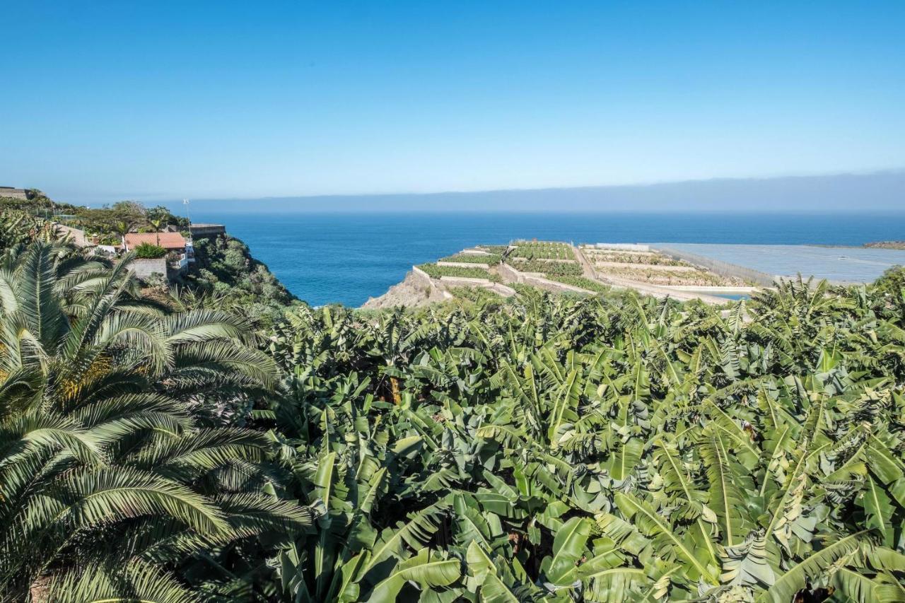 Finca Alejandrina La Guancha Ngoại thất bức ảnh